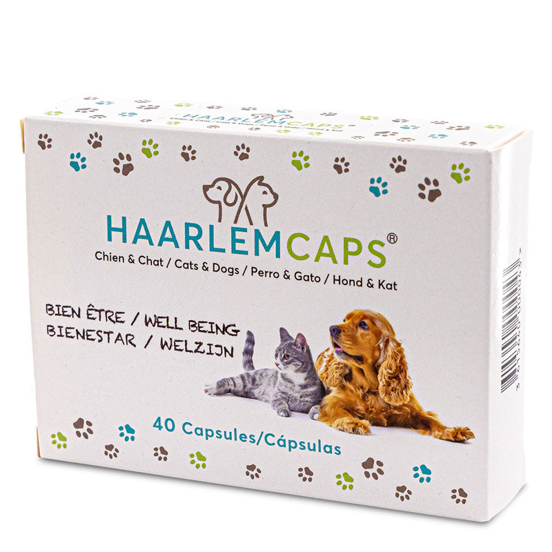 Haarlem Caps pour chiens et chats